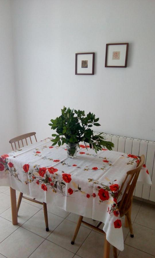 Apartment Elinor 2 Rovinj Exterior foto